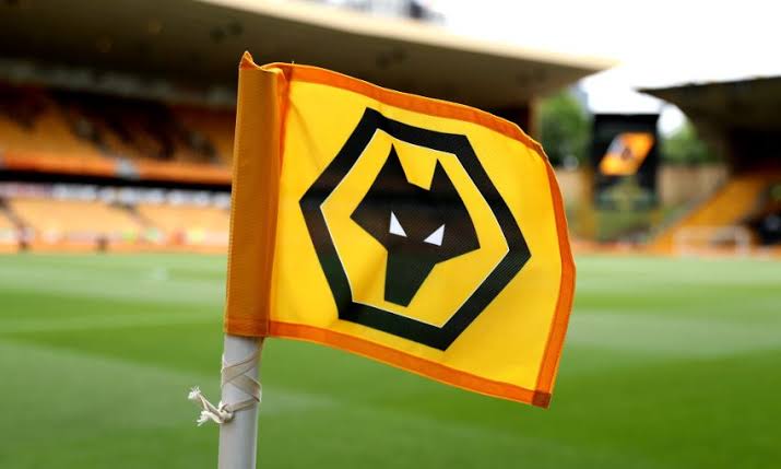 Wolves Striker sent home from training following furious bust-up with Manager Vitor Pereira